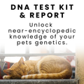 Cat Genetic Test Kit & Report